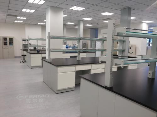 1767841567693906.jpg