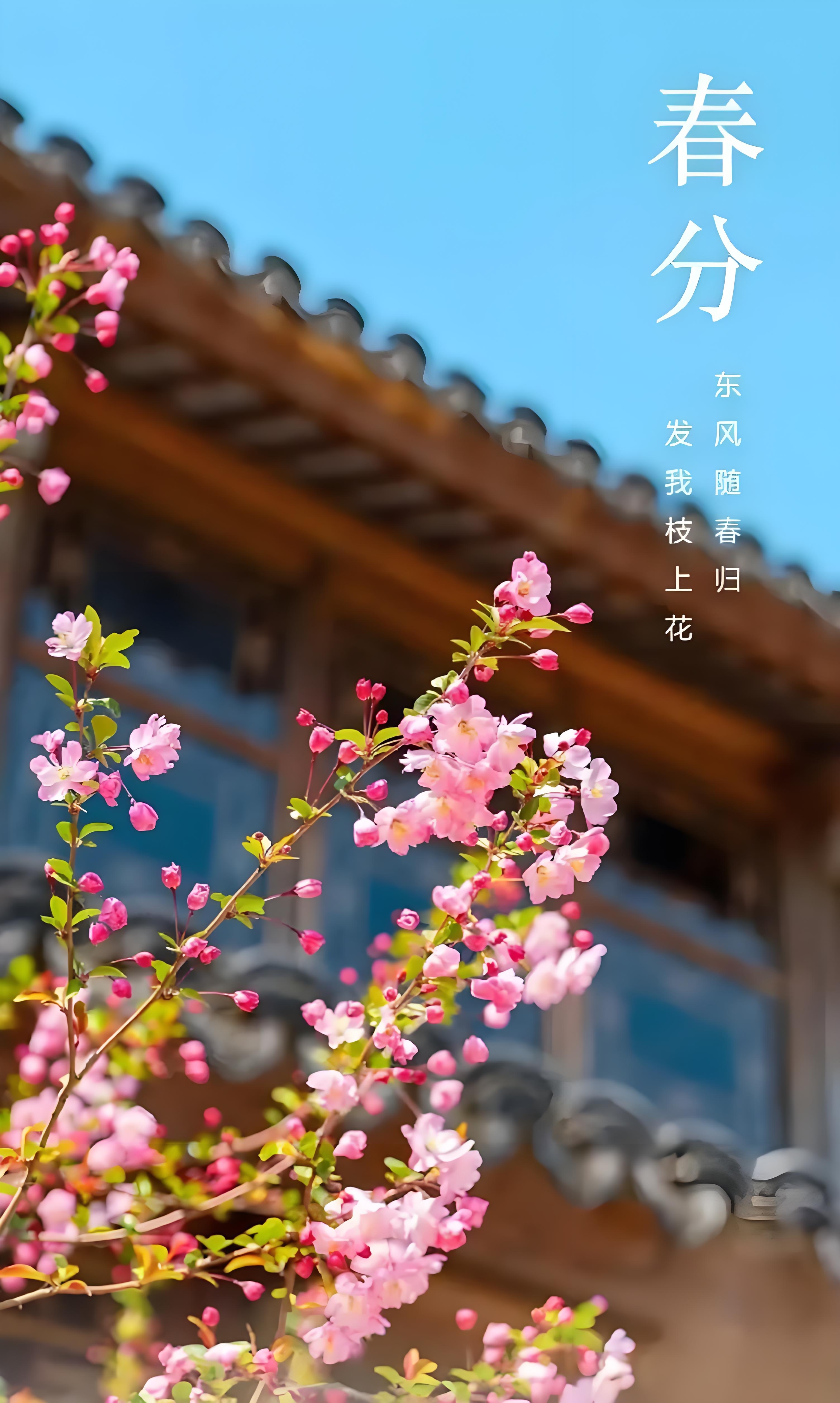春風(fēng)解人意，時(shí)光不負(fù)你